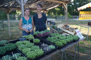 3_Pauline et Caroline Association Carotte et Cocotte Solliès-Pont - Crédit AC AUDRA-min Bleu Tomate le mag