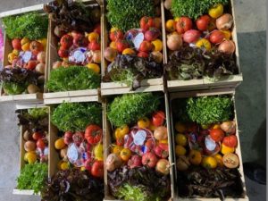 les paniers partagés de fruits et légumes locaux et de qualité