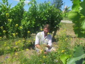 château St Jean lez Durance, bio pour la biodiversité