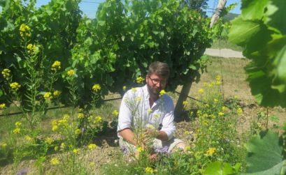 château St Jean lez Durance, bio pour la biodiversité