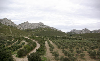 paysage des Alpilles