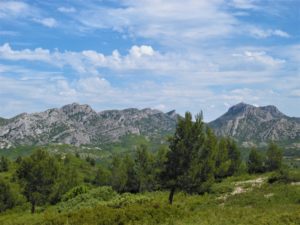Destination Alpilles Bleu Tomate le mag