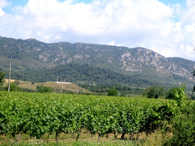 le vignoble Château St Jean aux confins du PNR du Luberon