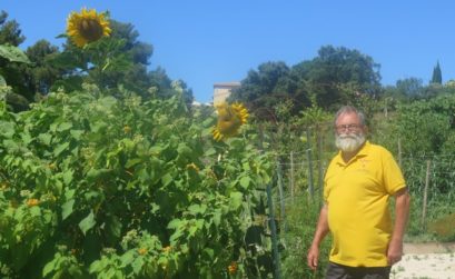 le PNR Sainte-Baume et les tomates