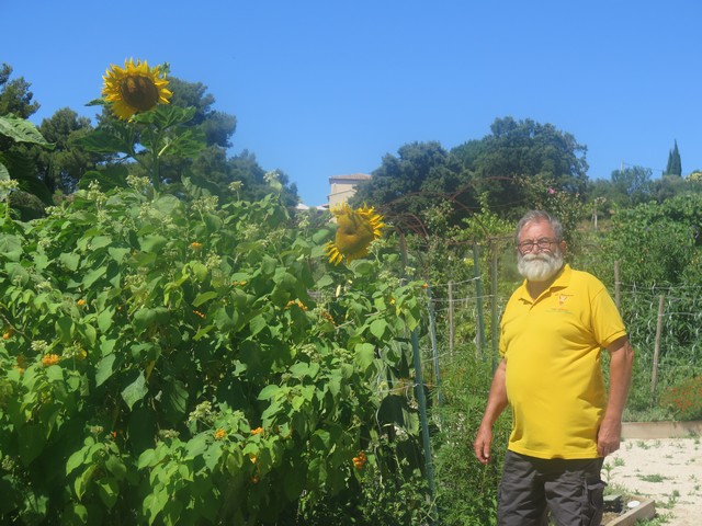 le PNR Sainte-Baume et les tomates