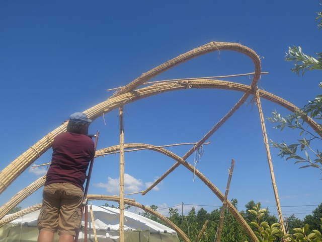 pose du faisceau sur les arches