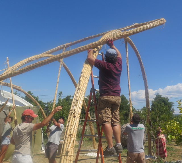 Installation du faisceau de cannes pour consolider les arches