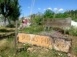 les jardins partagés de Robion au pied du uberon