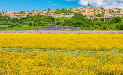 un nouveau GIEE sur le plateau de Valensole