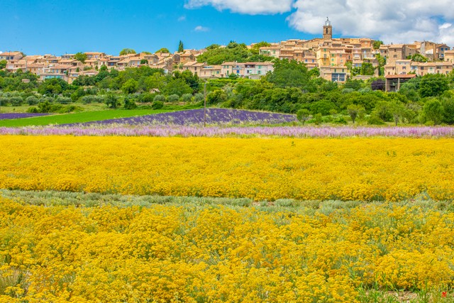 un nouveau GIEE sur le plateau de Valensole