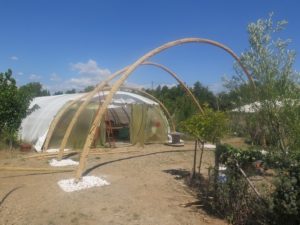 les 3 arches Bleu Tomate le mag