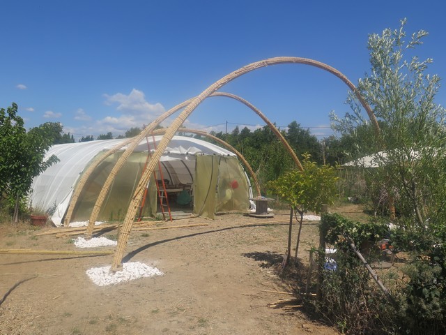 les trois arches en canne