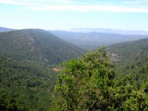 les espaces protégés de la Ste Baume