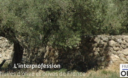 France Olive l asso