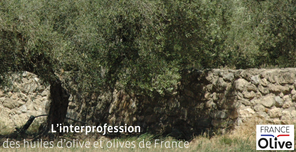 France Olive l asso