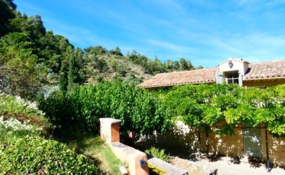 le gîte est en pleine forêt