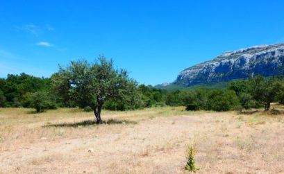 le massif de la Sainte-Baume