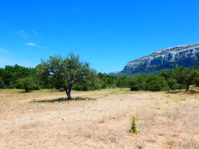 le massif de la Sainte-Baume