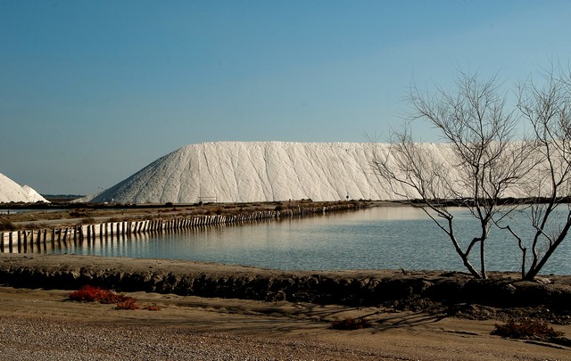 mmarais salants en Camargue