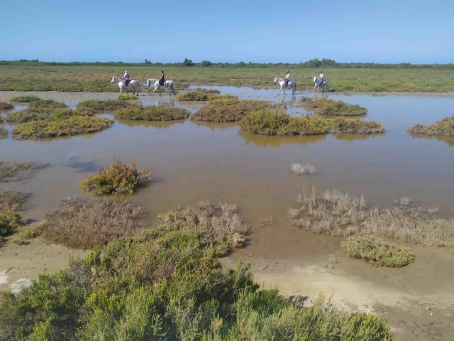 la Camargue à cheval à la Palissade