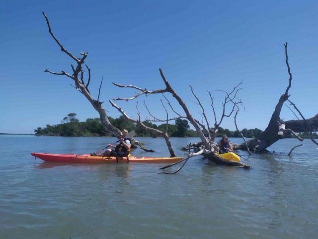 la Palissade en kayak