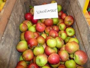 marché des fruits et saveurs d'autrefois à Manosque