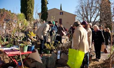 le marché des fruits remplace la journée à la Thomassine