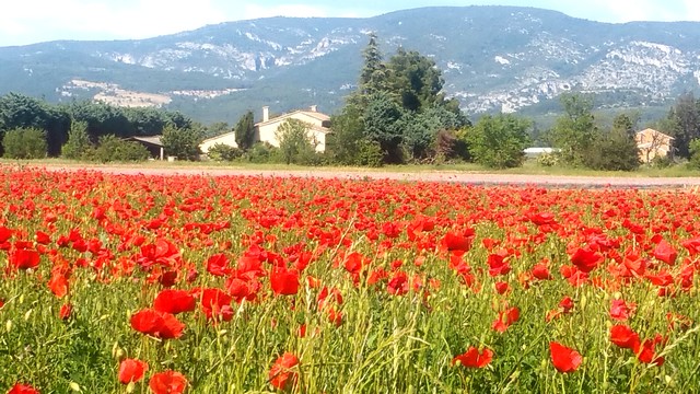 pour l'avenir du foncier agricole