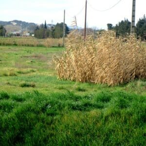 Terrains en friche à Cavaillon promis à l'artificialisation