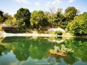 les espaces naturels sont les lieux de récolte de graines et plants