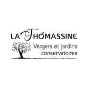 logo la Thomassine