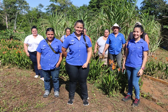 Ferme bio Costa Rica