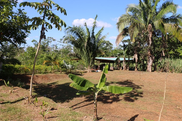 Ferme bio au Costa Rica