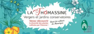 stage psoigner les plantes par les plantes à la Thomassine