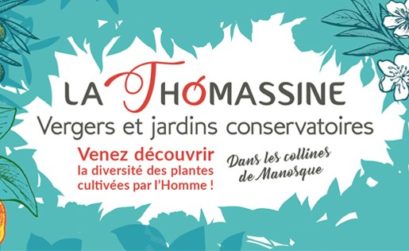 stage psoigner les plantes par les plantes à la Thomassine