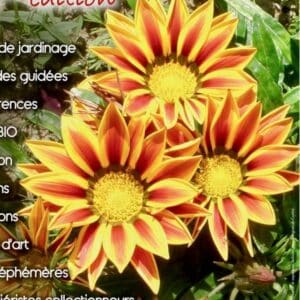 logo Plantes Rares