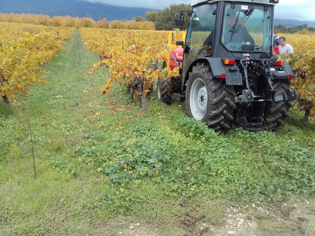 zéro herbicide et méthodes alternatives