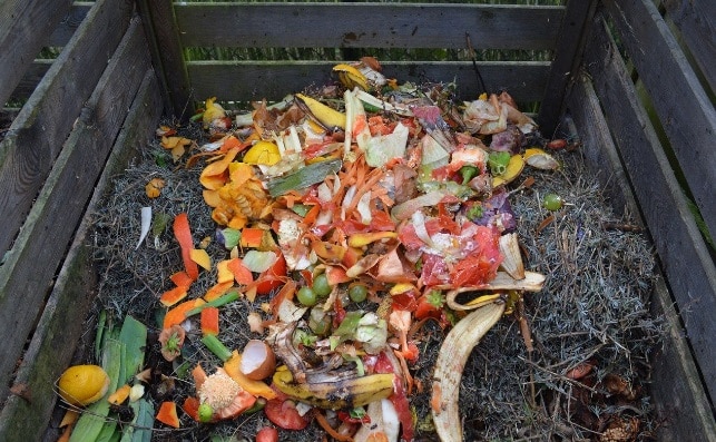 le compost pour le sol