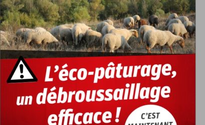 les moutons pompiers