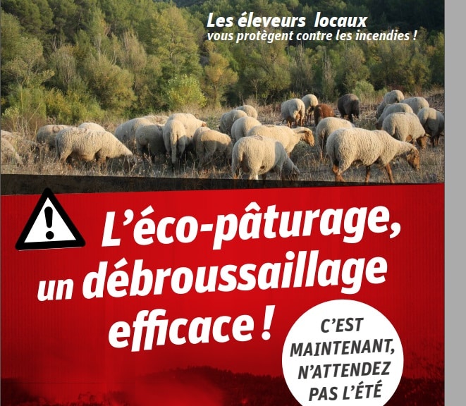 les moutons pompiers