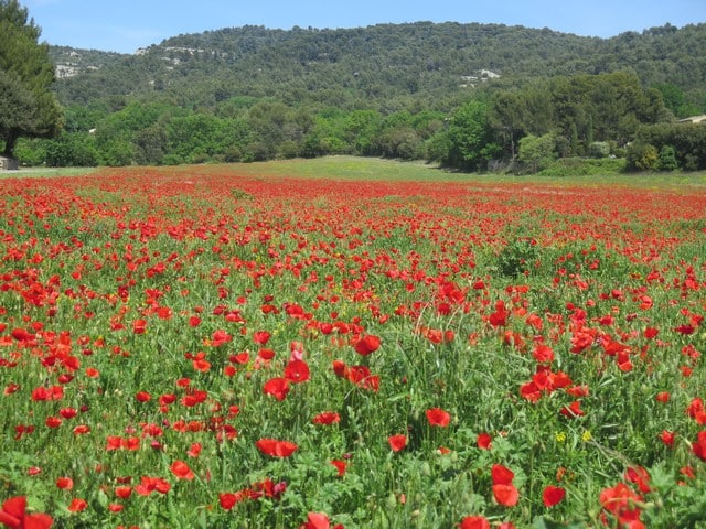 Lagnes dans les Mts de Vaucluse