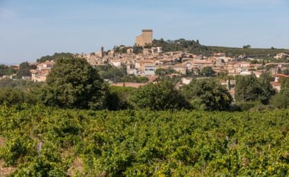 le bassin de vie d'Avignon