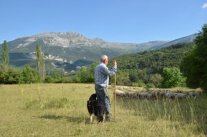 fête de la transhumance 2021