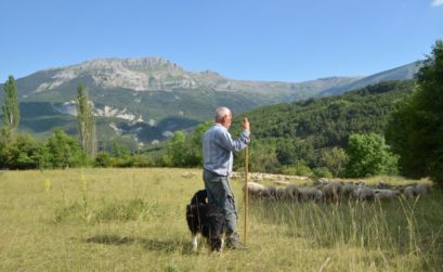 fête de la transhumance 2021