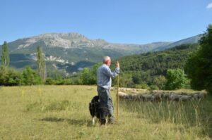 fête de la transhumance 2021