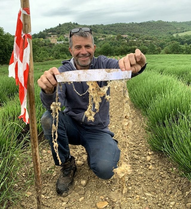 les slips déterrés dégradés