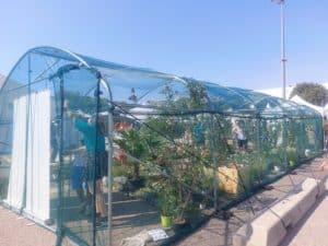 Congrès mondial de la nature Bleu Tomate le mag