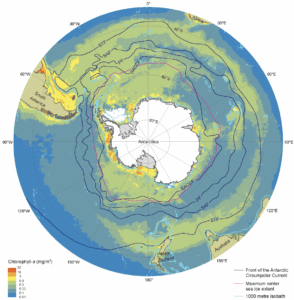 Suivez l'exploration de l'Océan Austral comme si vous y étiez !