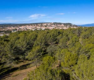 Venelles et foret@Mairie_venelles Bleu Tomate