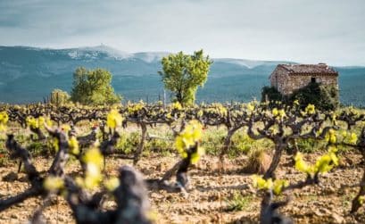 Vivant projet de l'AOC